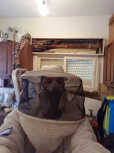 הדברת מזיקים בדירה 3